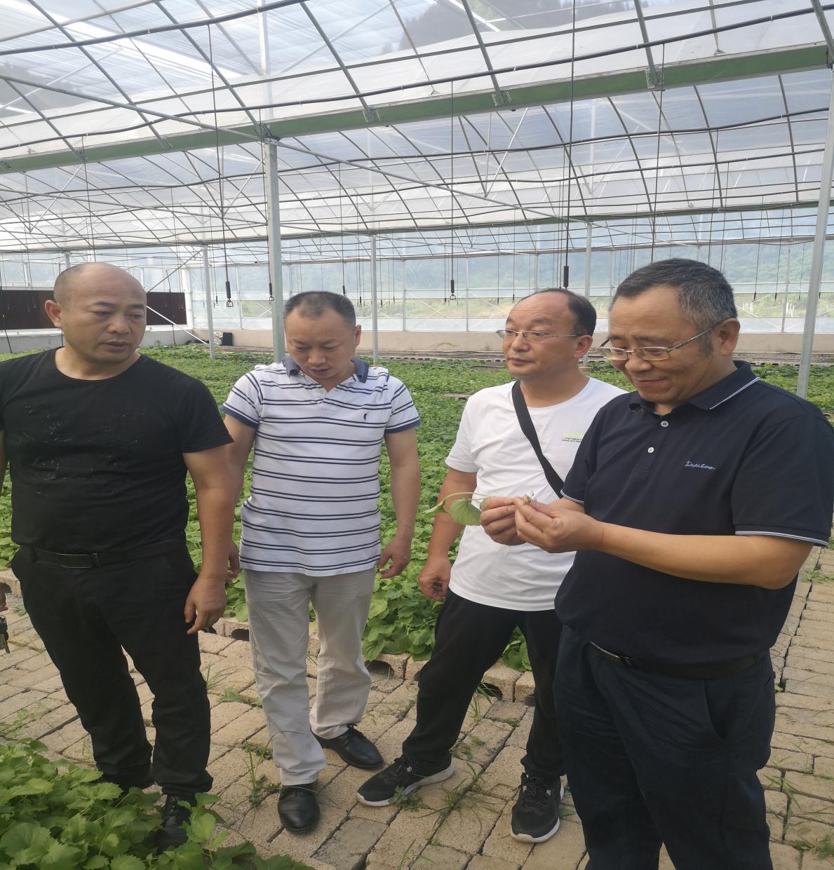 ׯ�к���Ϸ(�й�)�ɷ����޹�˾-����