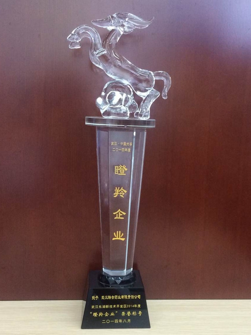 ׯ�к���Ϸ(�й�)�ɷ����޹�˾-����